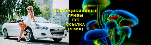 spice Арсеньев