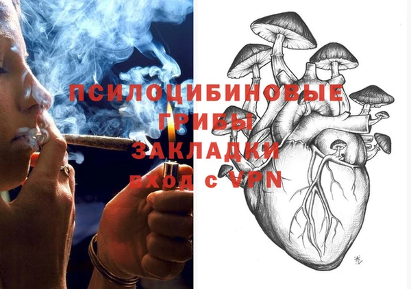 шишки Армянск