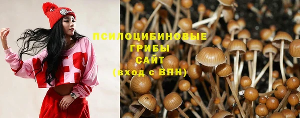 spice Арсеньев