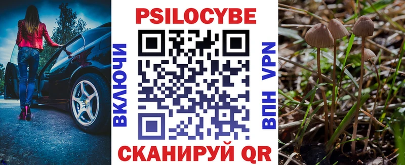 хочу   Волгоград  Псилоцибиновые грибы ЛСД 